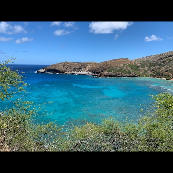 Meet your Posher, Shayla - Picture 4 of 16